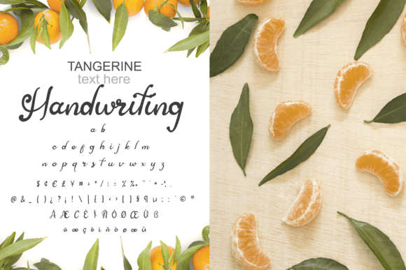 Asian Butterfly Font Poster 2