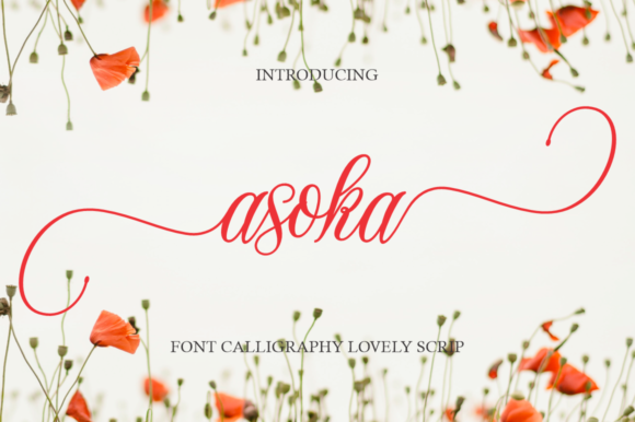 Asoka Font Poster 1