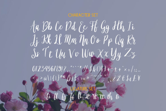 Asther Font Poster 9