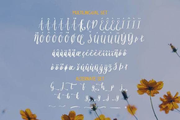 Asther Font Poster 10