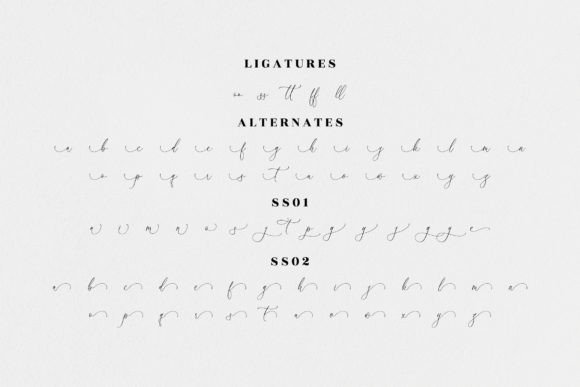 Athena Modern Font Poster 13