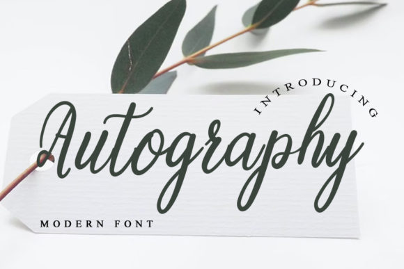 Autography Font Poster 1