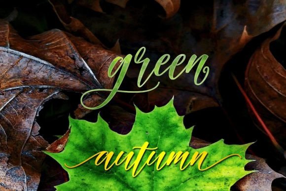 Autumn Font Poster 5