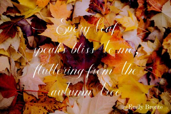 Autumn Font Poster 5