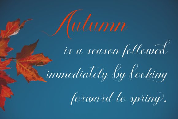 Autumn Font Poster 6