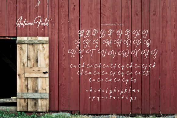 Autumn Field Font Poster 6