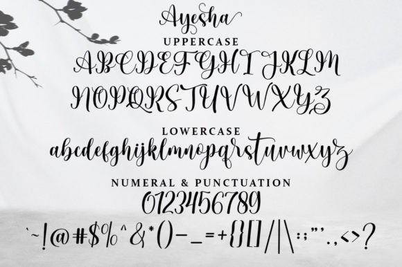 Ayesha Font Poster 7