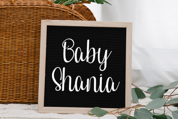 Baby Shower Font Poster 3