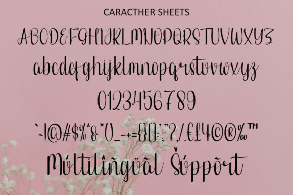 Baby Shower Font Poster 5