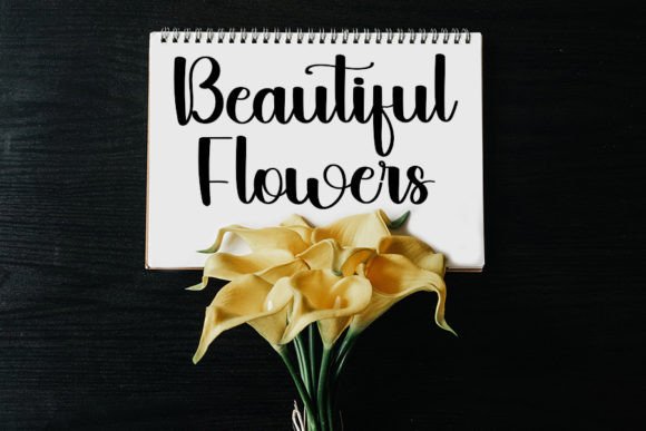 Babylone Font Poster 7