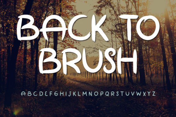 Back to Brush Font Poster 1