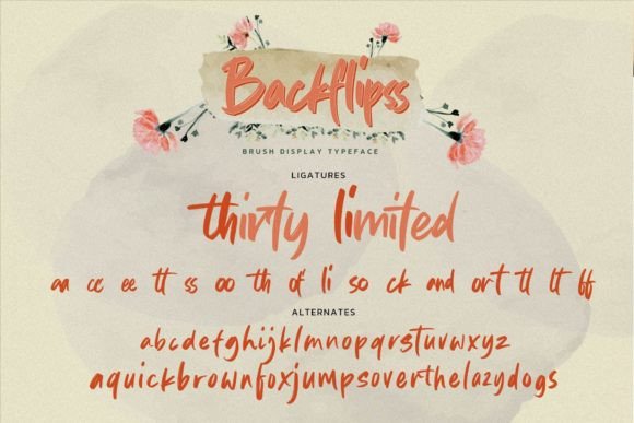 Backflipss Font Poster 7