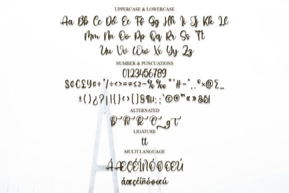 Badge Font Poster 7