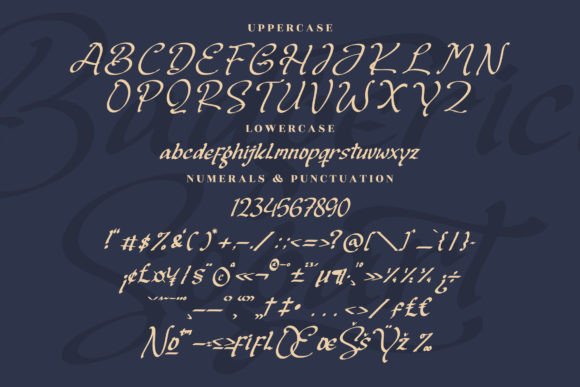 Badgerict Sogart Font Poster 13