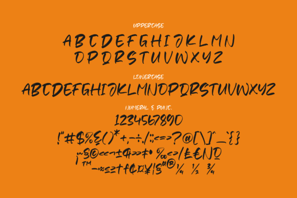 Badrick Font Poster 13