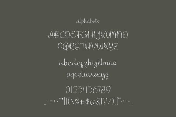 Bagheltsa Font Poster 2
