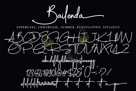 Bailenda Font Poster 9