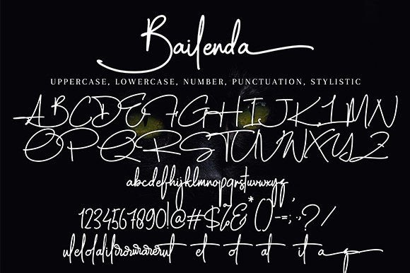Bailenda Font Poster 9
