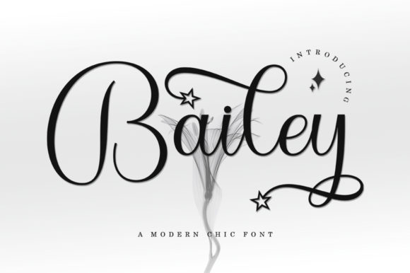 Bailey Font Poster 1