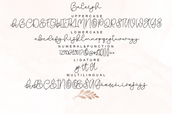 Baleish Font Poster 5