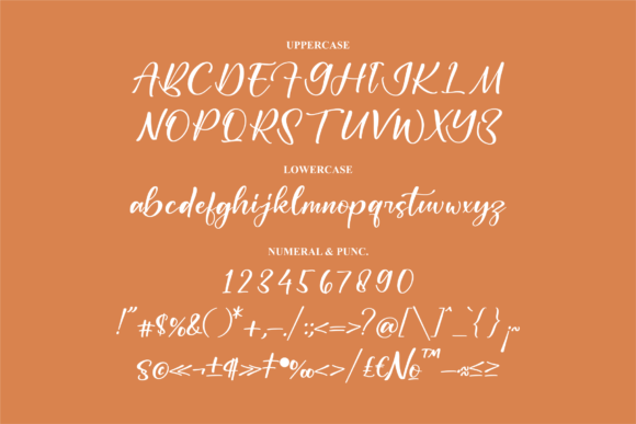Ballestic Font Poster 13