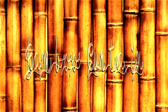 Bamboo Curtain Font Poster 3