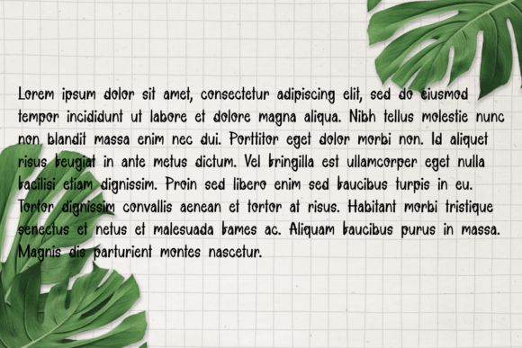 Banana Land Font Poster 3