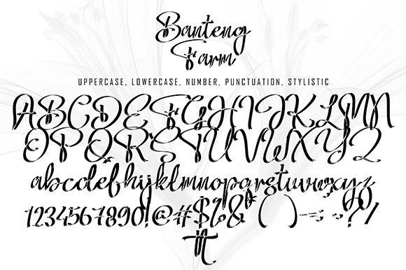 Bantteng Farm Font Poster 11