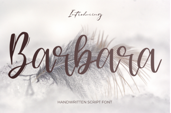 Barbara Font Barbara Font Poster 1