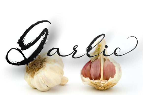 Bargot Font Poster 2