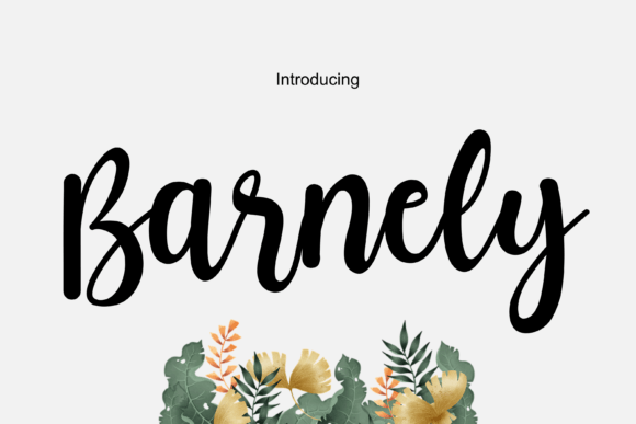 Barnely Font Poster 1