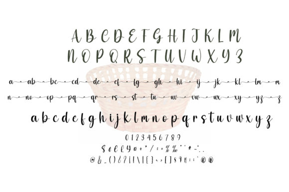 Basket Font Poster 7