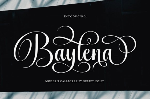 Baylena Font Poster 1