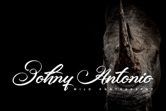 Beastype Font Poster 3