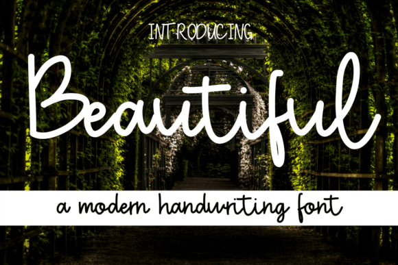 Beautiful Font Poster 1