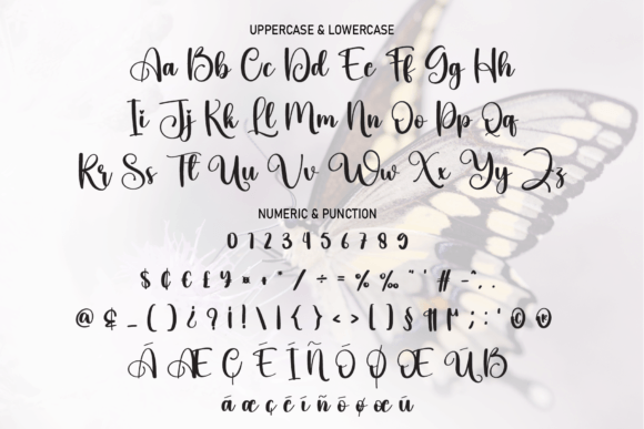 Beautiful Butterfly Font Poster 7