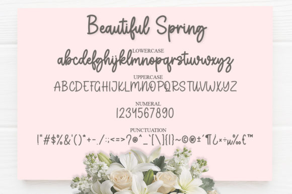 Beautiful Spring Font Poster 6