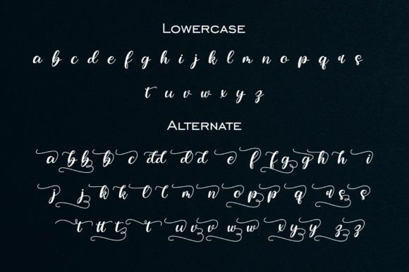 Beauty Font Poster 6