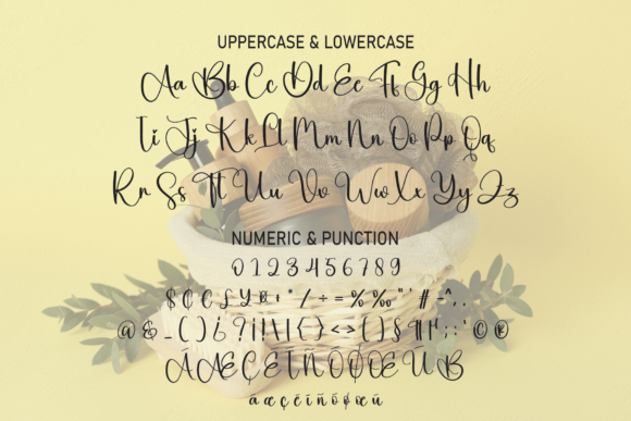Beauty Font Poster 7