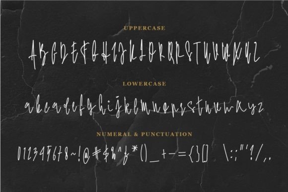 Beauty of Amelie Font Poster 2