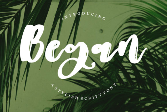 Began Font Poster 1