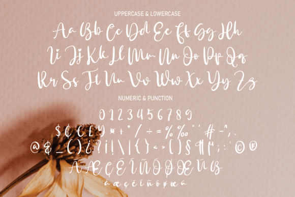 Bekind Font Poster 7