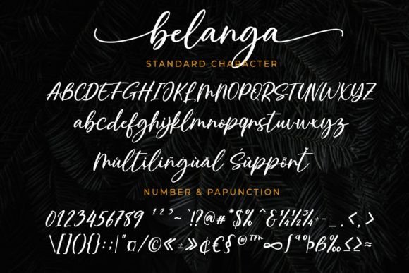 Belanga Font Poster 6