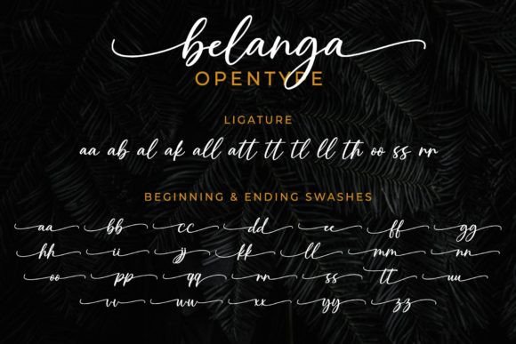 Belanga Font Poster 7