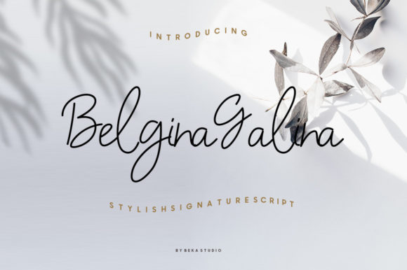 Belgina Galina Font Poster 1