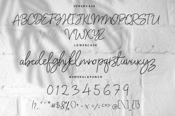 Belgina Galina Font Poster 8