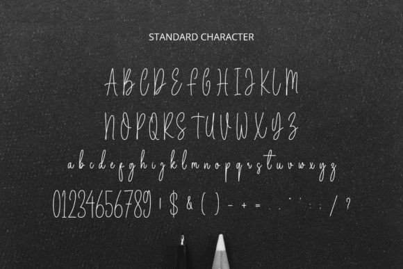 Belgium Signature Font Poster 5