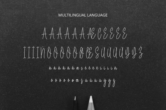 Belgium Signature Font Poster 6