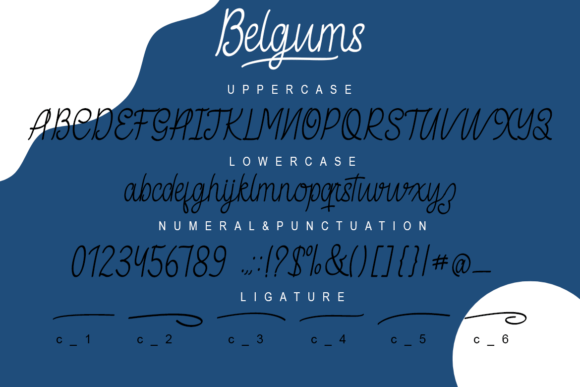Belgums Font Poster 5