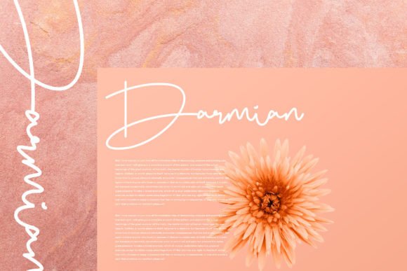 Bellogia Font Poster 2